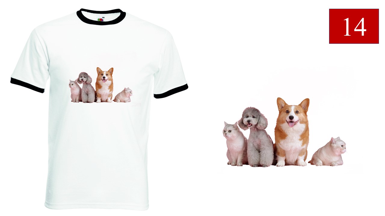 T shirt con cani deals